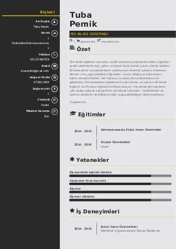Fen Bilgisi Öğretmeni CV Örnekleri cv indir